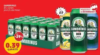 PENNY Gambrinus Angebot