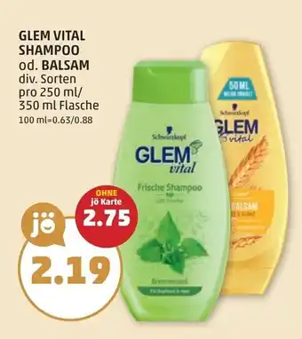 PENNY Glem vital shampoo Angebot