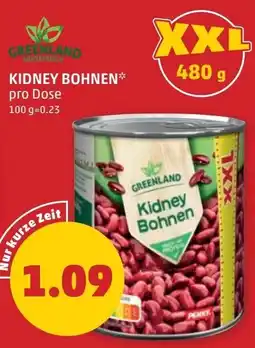 PENNY Kidney bohnen Angebot