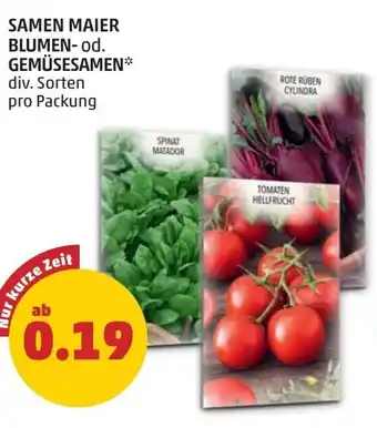 PENNY Samen maier blumen-od. gemüsesamen Angebot