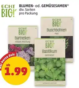 PENNY Echt blumen- od. gemüsesamen Angebot