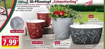 Norma Toller 3d-effekt Angebot