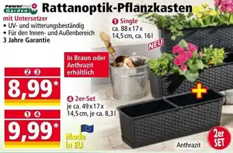 Norma Rattanoptik-pflanzkasten 1 single Angebot