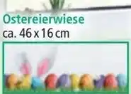 Norma Ostereierwiese Angebot