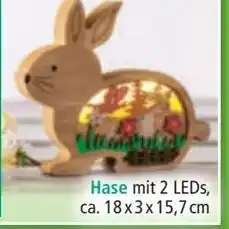 Norma Hase mit 2 leds Angebot