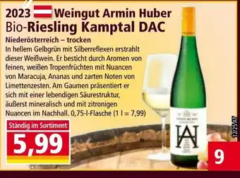 Norma Weingut armin huber bio-riesling kamptal dac Angebot