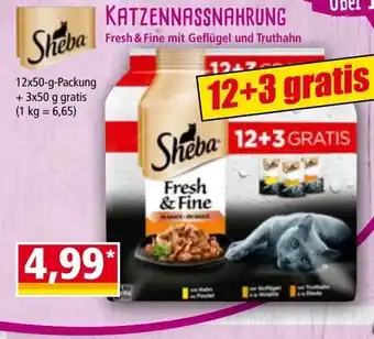 Norma Katzennassnahrung Angebot