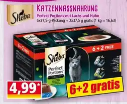 Norma Katzennassnahrung Angebot