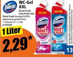 Norma Wc-gel Angebot