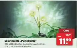 Hagebau Solarleuchte,,pusteblume Angebot