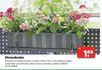 Hagebau Blumenkasten Angebot