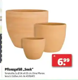 Hagebau Pflanzgefäß „souk Angebot