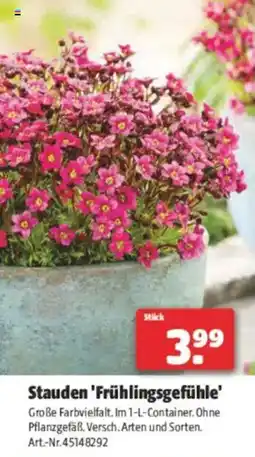 Hagebau Stauden 'frühlingsgefühle Angebot