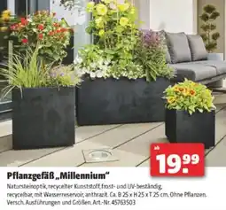 Hagebau Pflanzgefäß,,millennium Angebot