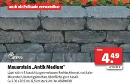 Hagebau Mauerstein Antik Medium Angebot