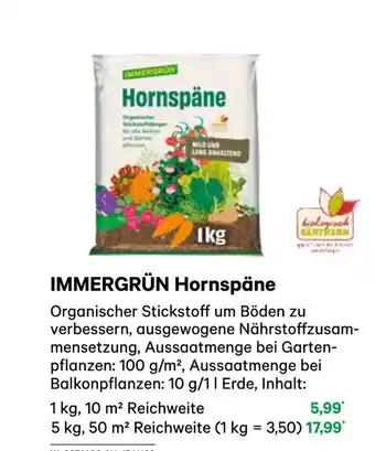 BayWa Immergrün hornspäne Angebot