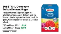 BayWa Substral osmocote balkonblumendünger Angebot