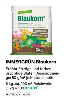 BayWa Immergrün blaukorn Angebot