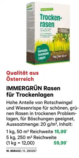 BayWa Immergrün rasen für trockenlagen Angebot