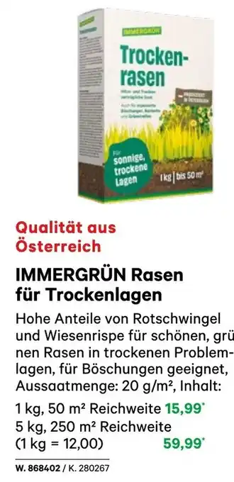 BayWa Immergrün rasen für trockenlagen Angebot