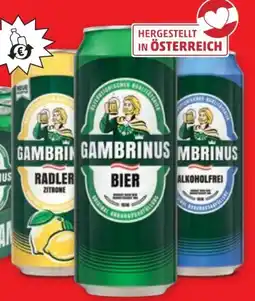 PENNY Gambrinus Bier Angebot