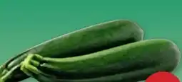 PENNY Echt Bio Zucchini Angebot