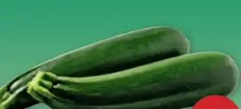 PENNY Echt Bio Zucchini Angebot