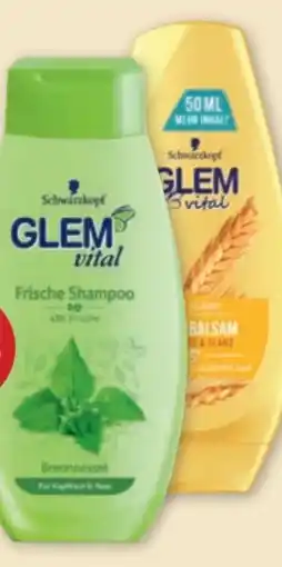 PENNY Schwarzkopf Glem Vital Shampoo Angebot