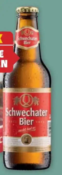 PENNY Schwechater Bier Angebot