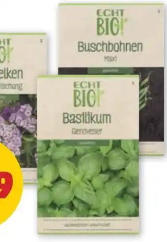 PENNY Echt Bio Blumen-Samen Angebot