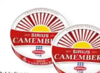 MPreis Schärdinger Sirius Camembert Angebot