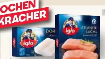 MPreis Iglo Premium Atlantik Lachs Angebot