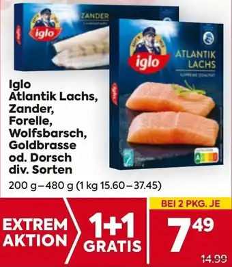 Billa Atlantik Lachs, Zander, Forelle, Wolfsbarsch, Goldbrasse od. Dorsch Angebot