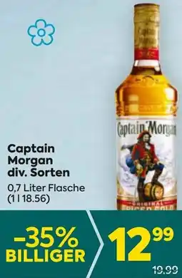 Billa Captain Morgan Angebot