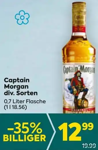 Billa Captain Morgan Angebot