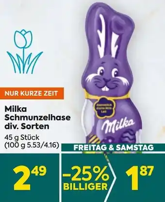 Billa Schmunzelhase Angebot