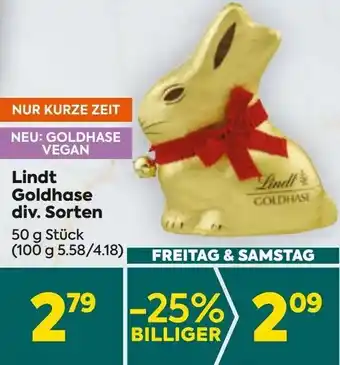 Billa Goldhase Angebot