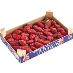 MPreis Erdbeeren MPREIS Angebot