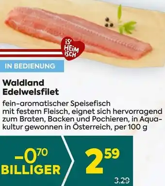 Billa Edelwelsfilet Angebot