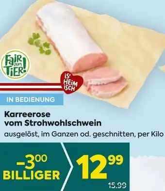 Billa Karreerose vom Strohwohlschwein Angebot