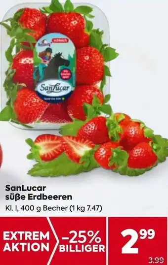 Billa SanLucar süße Erdbeeren Angebot