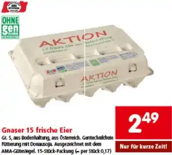 Interspar Gnaser 15 frische Eier Angebot