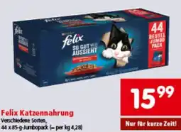 Interspar Katzennahrung Angebot