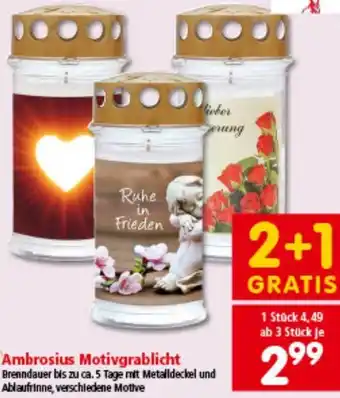 Interspar Motivgrablicht Angebot