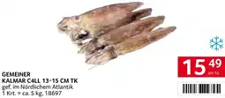 Transgourmet Gemeiner kalmar Angebot