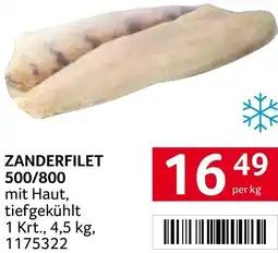 Transgourmet Zanderfilet Angebot