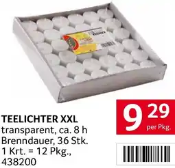 Transgourmet Teelichter xxl Angebot