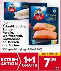 Billa Atlantik Lachs, Zander, Forelle, Wolfsbarsch, Goldbrasse od. Dorsch Angebot