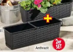 Norma Powertec Garden Rattan-Pflanzkasten Angebot