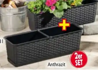 Norma Powertec Garden Rattan-Pflanzkasten Angebot